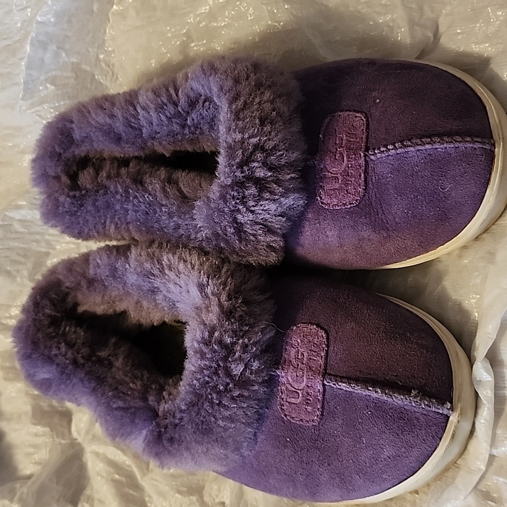 UGGS SNEAKERS SLIPPERS